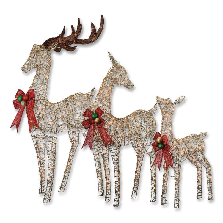 NATIONAL TREE COMPANY Champagne Glitter Deer Family, AC Powered, Warm White LED Lights, 27" x 8.5" x 60", Champagne (NTTDF370001U)