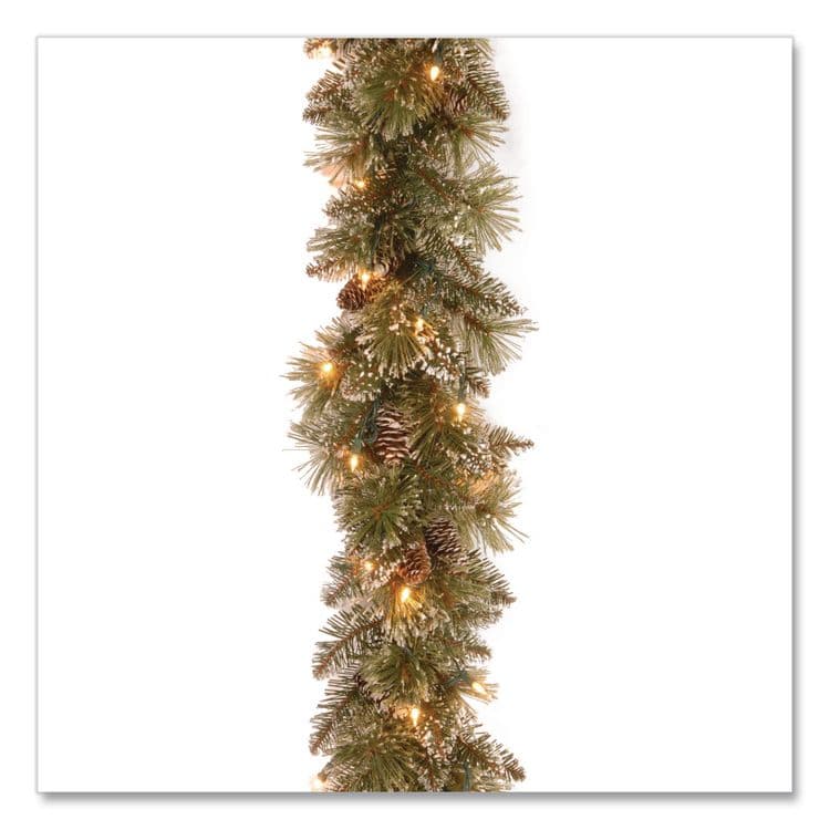 NATIONAL TREE COMPANY Pre-Lit Glittery Bristle Pine Garland, AC Powered, Clear Incandescent Lights, 108" Long, Green (NTTGB33009A1)