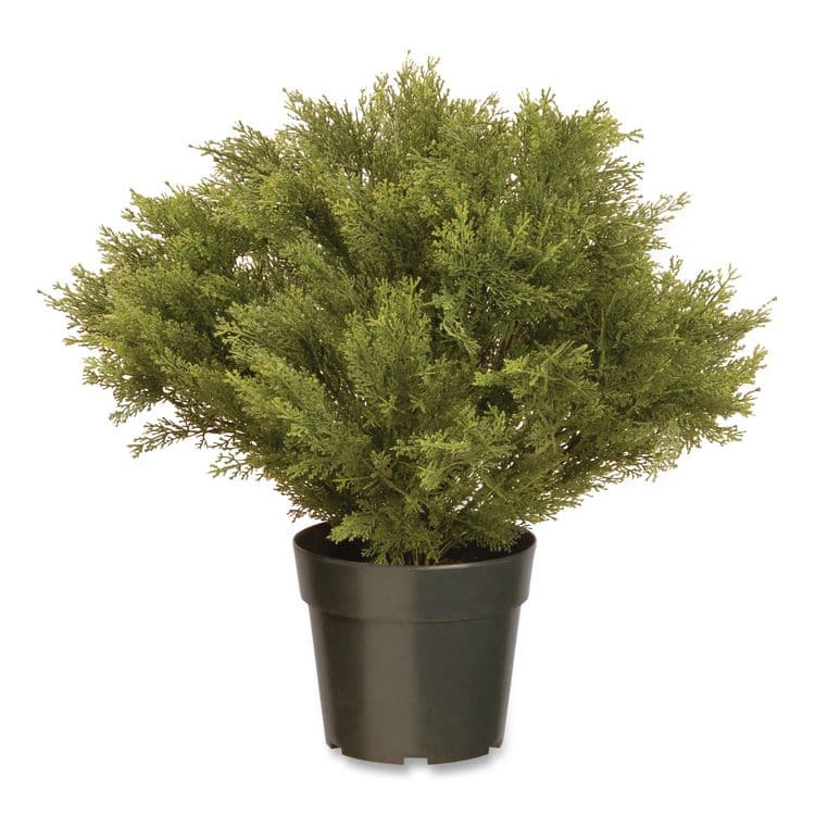NATIONAL TREE COMPANY Globe Juniper Topiary Tree, 20" x 28" x 20", Green Tree, Green Pot (NTTLCB828)