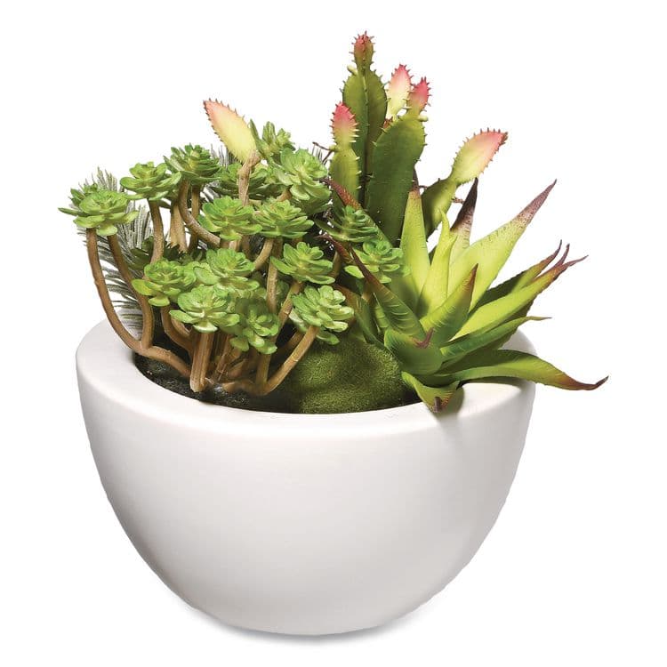 NATIONAL TREE COMPANY Spring Potted Plant, 8" x 8" x 8", Green Plant, White Pot (NTTRASXF169W)