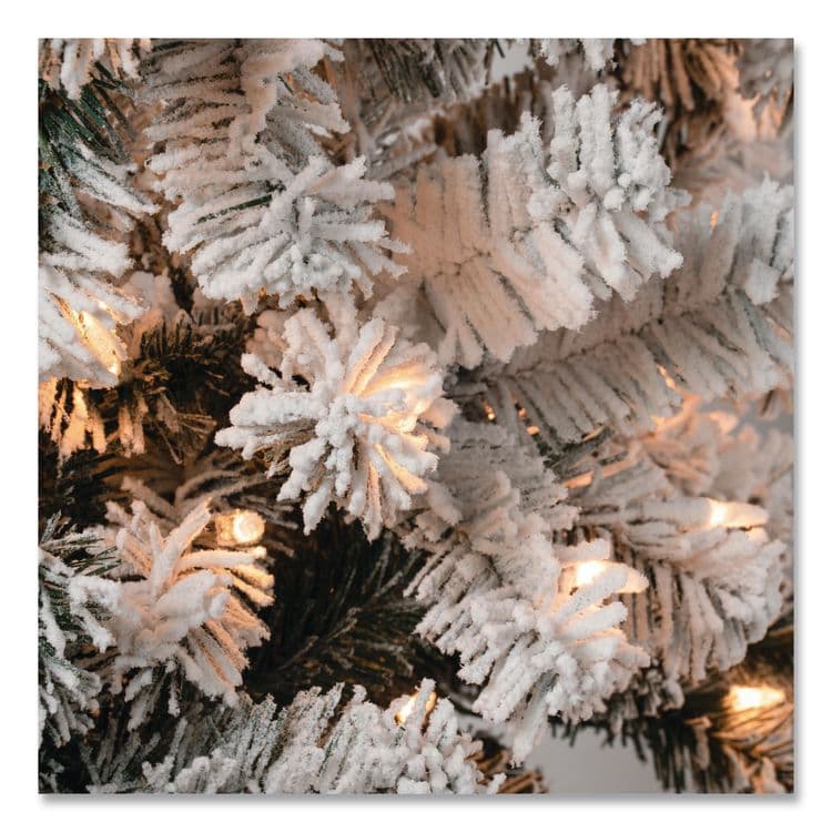 NATIONAL TREE COMPANY Pre-Lit Acacia Flocked Slim Tree, 24" x 24" x 70.8", Green Tree, Green Tree Stand (NTTAC10030460F) thumbnail 3