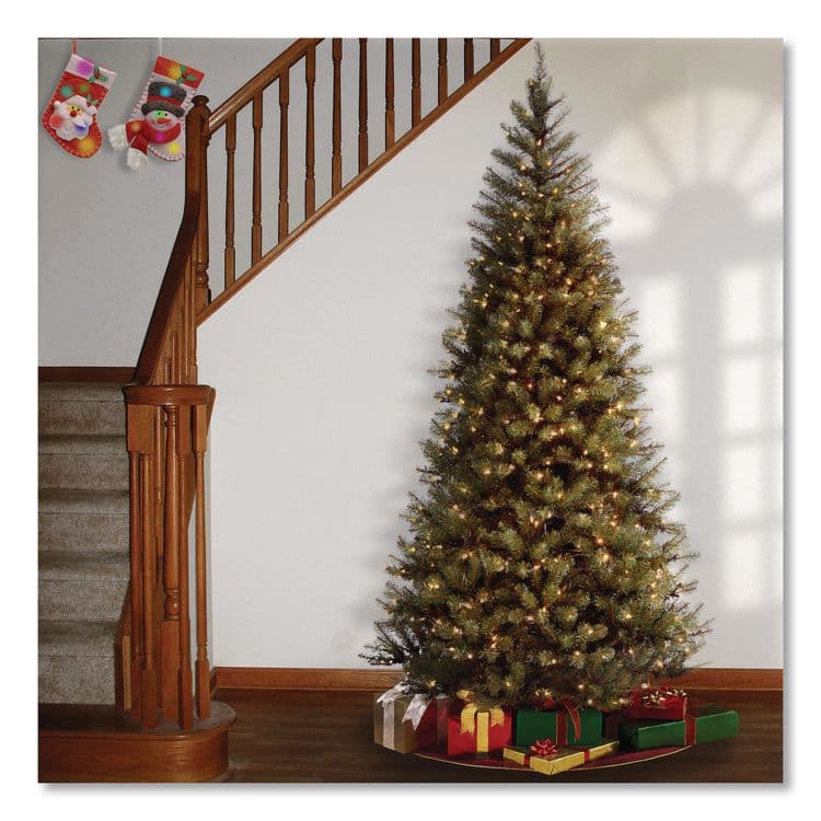 NATIONAL TREE COMPANY Pre-Lit Aspen Spruce Slim Tree, 38" x 38" x 72", Green Tree, Green Tree Stand (NTTAP730060) thumbnail 2