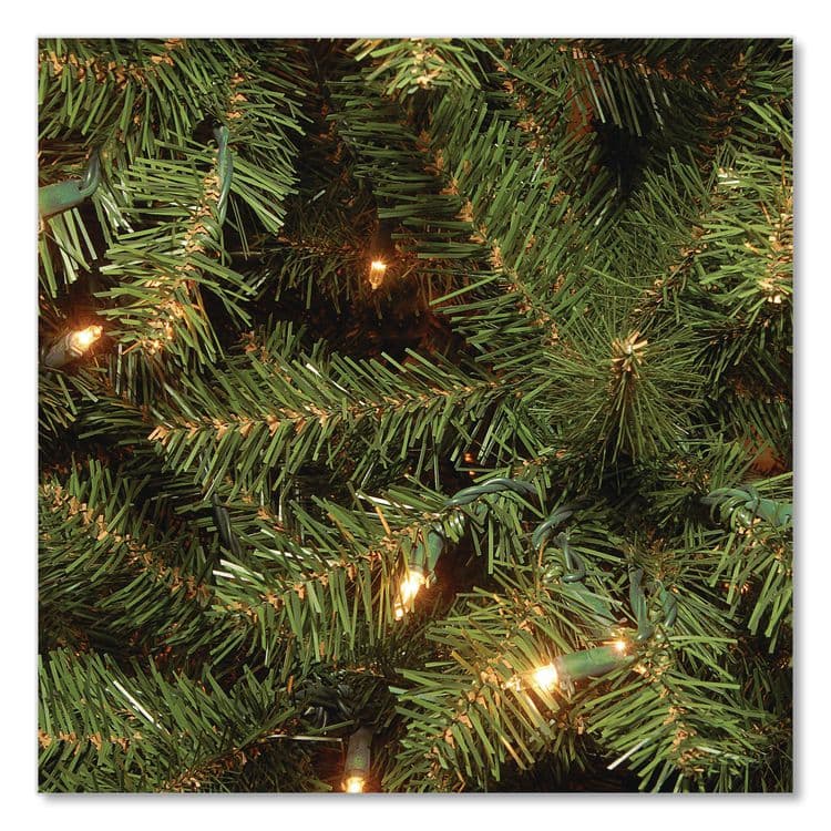 NATIONAL TREE COMPANY Pre-Lit Aspen Spruce Slim Tree, 38" x 38" x 72", Green Tree, Green Tree Stand (NTTAP730060) thumbnail 3