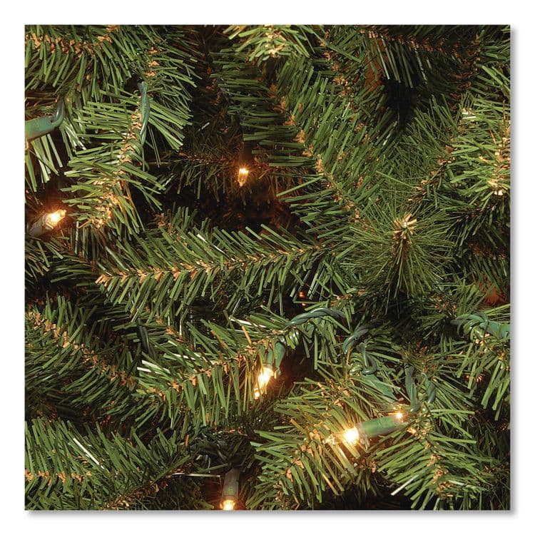 NATIONAL TREE COMPANY Pre-Lit Aspen Spruce Slim Tree, 42" x 42" x 78", Green Tree, Green Tree Stand (NTTAP730065) thumbnail 3