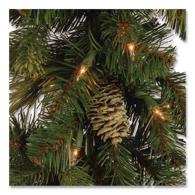 NATIONAL TREE COMPANY Pre-Lit Carolina Pine Garland, AC Powered, Clear Incandescent Lights, 108" Long, Green (NTTCAP33069A1) thumbnail 3