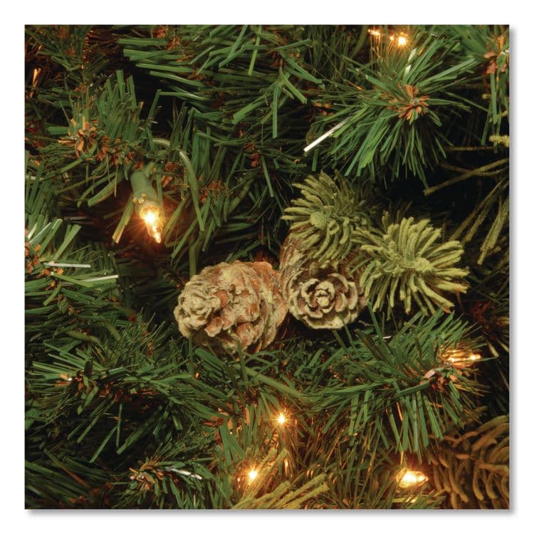 NATIONAL TREE COMPANY Pre-Lit Carolina Pine Tree, 55" x 55" x 78", Green Tree, Green Tree Stand (NTTCAP330665) thumbnail 3