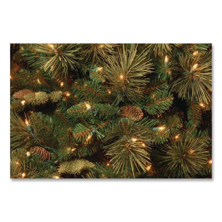 NATIONAL TREE COMPANY Pre-Lit Carolina Pine Tree, 58" x 58" x 84", Green Tree, Green Tree Stand (NTTCAP330670) thumbnail 3