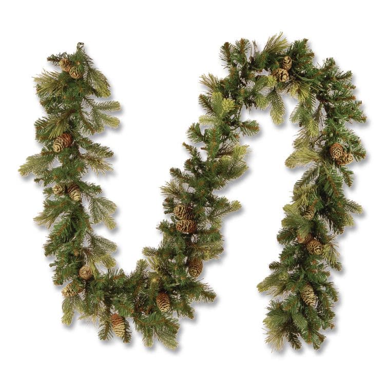 NATIONAL TREE COMPANY Pre-Lit Carolina Pine Garland, AC Powered, Clear Incandescent Lights, 108" Long, Green (NTTCAP33069A1)