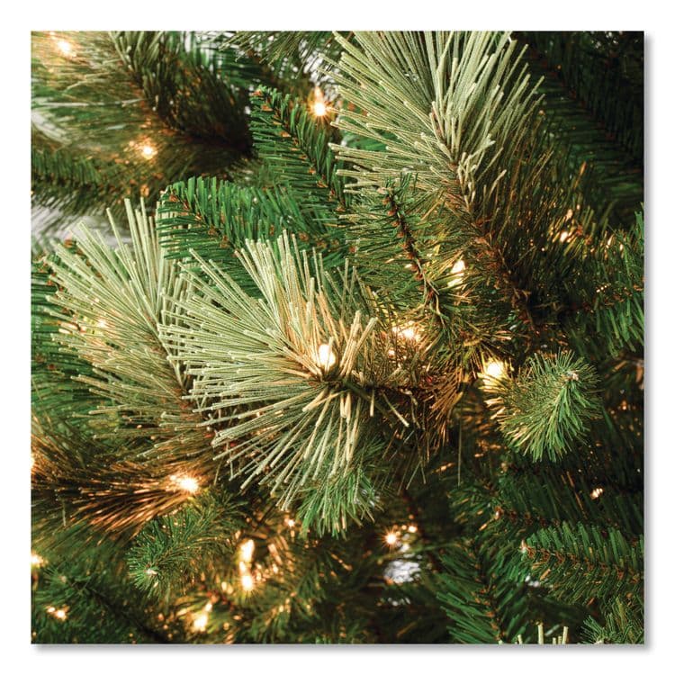 NATIONAL TREE COMPANY Pre-Lit Charleston Pine Slim Tree, 50" x 50" x 108", Green Tree, Green Tree Stand (NTTCHR330490) thumbnail 3
