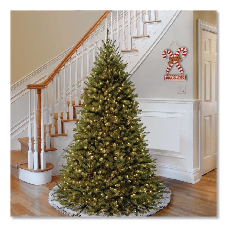 NATIONAL TREE COMPANY Pre-Lit Kingswood Fir Tree, 55" x 55" x 90", Green Tree, Green Tree Stand (NTTKW7D5375) thumbnail 2