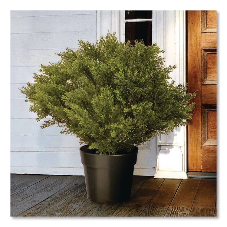 NATIONAL TREE COMPANY Globe Juniper Topiary Tree, 20" x 28" x 20", Green Tree, Green Pot (NTTLCB828) thumbnail 2