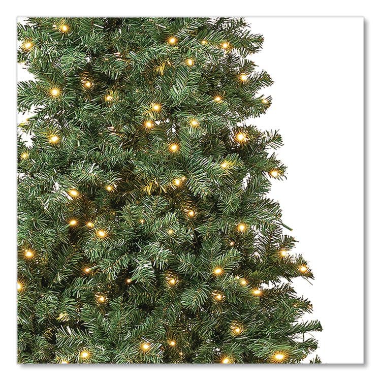 NATIONAL TREE COMPANY Pre-Lit Linden Spruce Slim Tree, 31" x 31" x 90", Green Tree, Green Tree Stand (NTTLIN8304L75) thumbnail 3