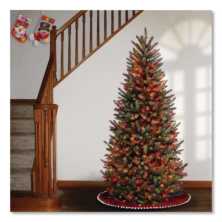 NATIONAL TREE COMPANY Pre-Lit Natural Fraser Fir Slim Tree, 40" x 40" x 78", Green Tree, Green Tree Stand (NTTNAFFSLH165RL) thumbnail 2
