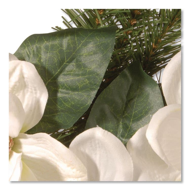 NATIONAL TREE COMPANY North Valley Spruce Magnolia Wreath, 24" Diameter x 3.5"h, White (NTTNRV71324W) thumbnail 4