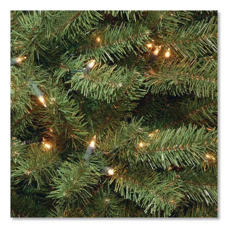 NATIONAL TREE COMPANY Pre-Lit North Valley Spruce Tree, 39" x 39" x 72", Green Tree, Green Tree Stand (NTTNRV730060) thumbnail 3