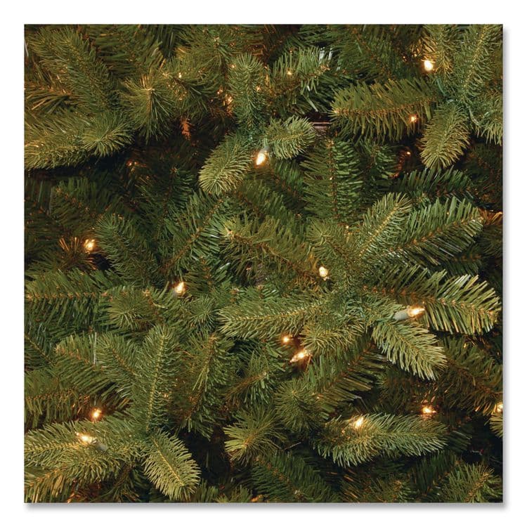 NATIONAL TREE COMPANY Pre-Lit Downswept Douglas Fir Tree, 59" x 59" x 90", Green Tree, Green Tree Stand (NTTPEDD131275) thumbnail 3