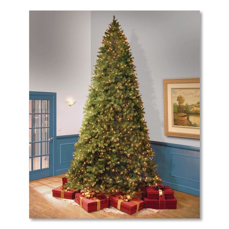 NATIONAL TREE COMPANY Pre-Lit Downswept Douglas Fir Tree, 92" x 92" x 144", Green Tree, Green Tree Stand (NTTPEDD1312120) thumbnail 2