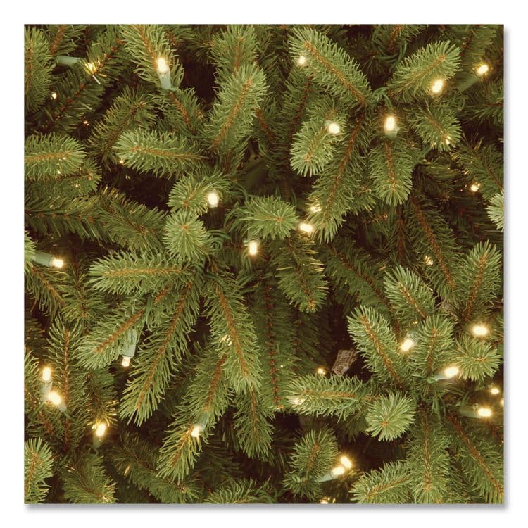 NATIONAL TREE COMPANY Pre-Lit Grande Fir Pencil Slim Tree, 78" x 78" x 108", Green Tree, Green Tree Stand (NTTPEJF130090) thumbnail 3