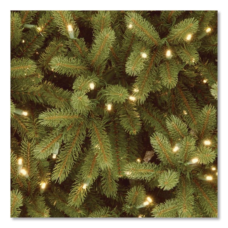 NATIONAL TREE COMPANY Pre-Lit Jersey Fraser Fir Medium Tree, 56" x 56" x 90", Green Tree, Green Tree Stand (NTTPEJF130275) thumbnail 3