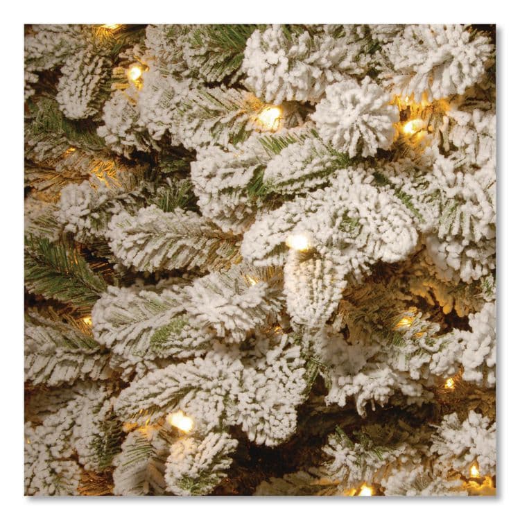 NATIONAL TREE COMPANY Pre-Lit Snowy Everest Fir, 64" x 64" x 108", Green Tree, Green Tree Stand (NTTPEV331190) thumbnail 3