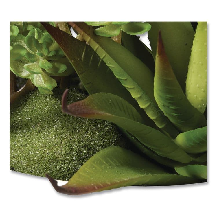 NATIONAL TREE COMPANY Spring Potted Plant, 8" x 8" x 8", Green Plant, White Pot (NTTRASXF169W) thumbnail 3