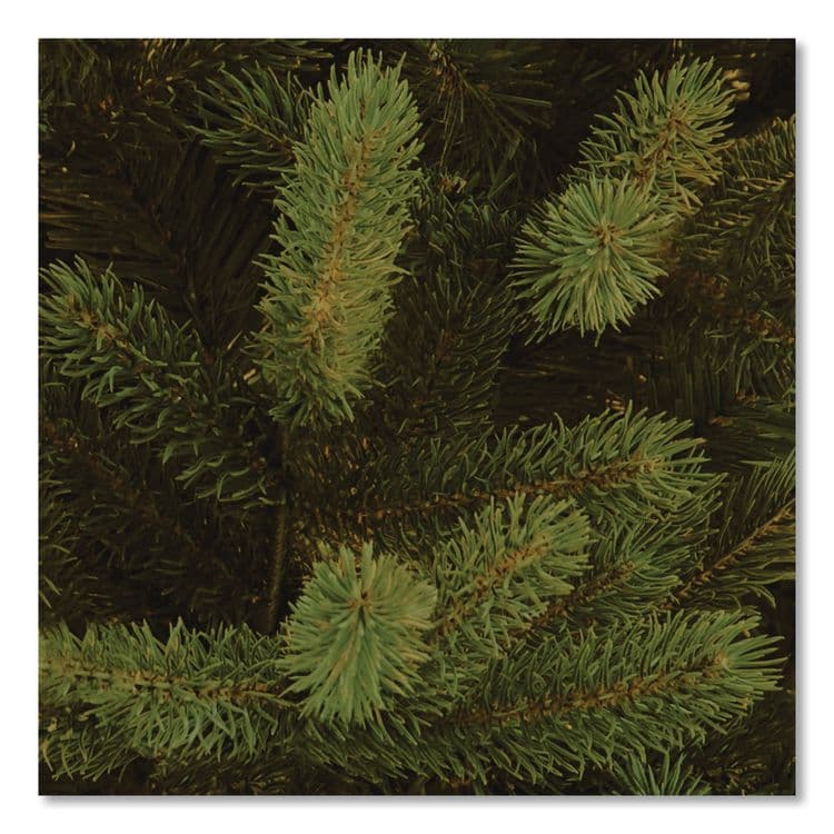 NATIONAL TREE COMPANY Norway Fir Tree, 58" x 58" x 84", Green Tree, Green Tree Stand (NTTPENF150070) thumbnail 3
