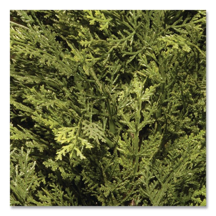 NATIONAL TREE COMPANY Artificial Arborvitae, 13" x 13" x 60", Green Tree, Green Pot (NTTLMC4700601) thumbnail 3