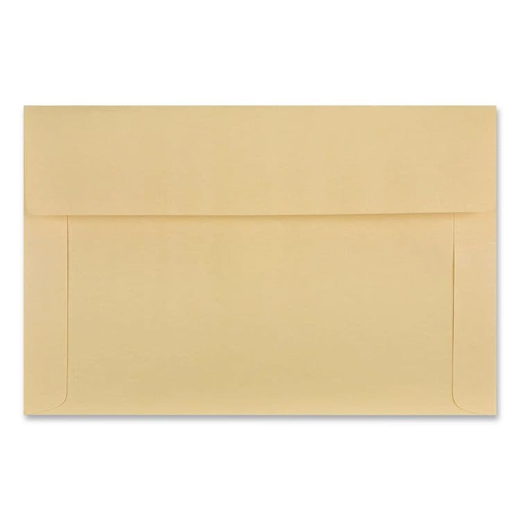 QUALITY PARK PRODUCTS Filing Envelopes, Letter Size, Cameo Buff, 100/Box (QUA89604) thumbnail 2