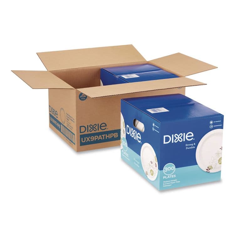 DIXIE FOOD SERVICE Pathways Medium-Weight Paper Plates, 8.5" dia, Pathways, 300/Box, 2 Boxes/Carton (DXEUX9PATHPB) thumbnail 2