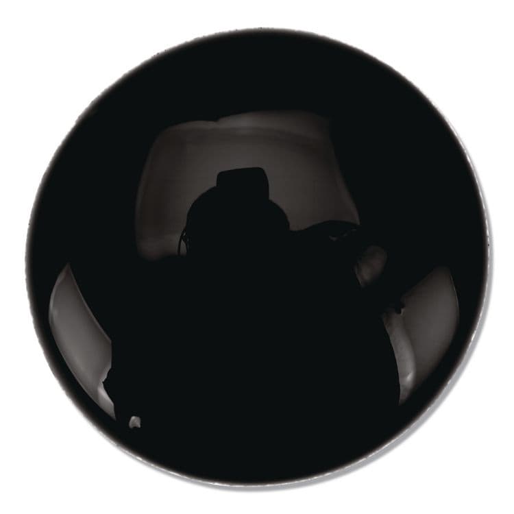 BINNEY & SMITH / CRAYOLA Premier Tempera Paint, Black, 32 oz Bottle (CYO541232051) thumbnail 3