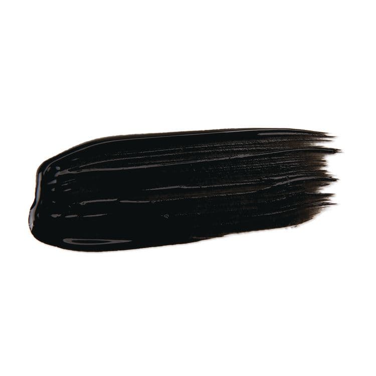 BINNEY & SMITH / CRAYOLA Premier Tempera Paint, Black, 32 oz Bottle (CYO541232051) thumbnail 4