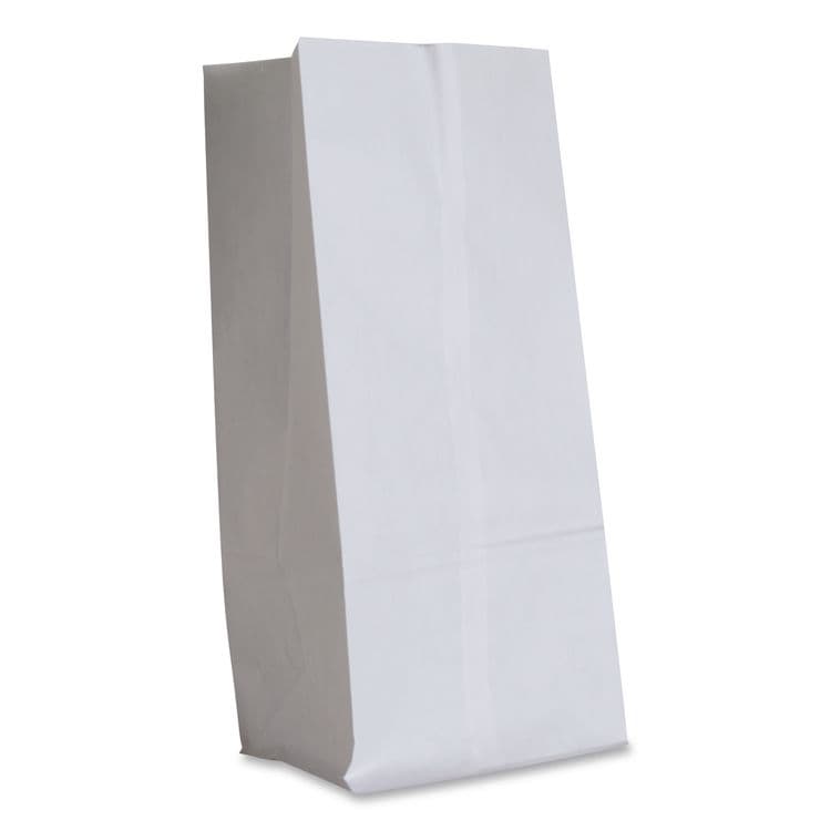 ROSS & WALLACE PAPER PRODUCTS, . Grocery Paper Bags, 20# Size, 40# Basis Weight, 8.25" x 5.25" x 16.13", White, 500/Bundle (BAGGW20500) thumbnail 2