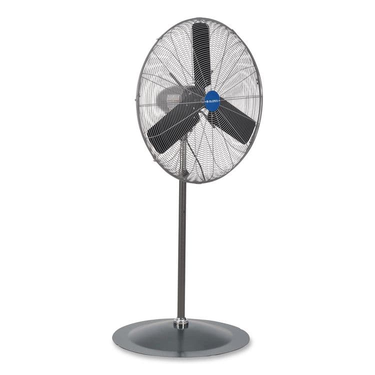 GLOBAL INDUSTRIAL Oscillating Pedestal Fan, 30", 3 Speeds, Gray (GBE585280)