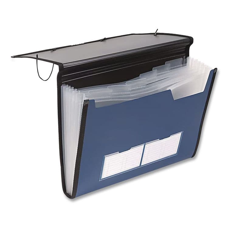 TOPS BUSINESS FORMS Professional Expanding Organizer, 7 Sections, Elastic Cord Closure, 1/6-Cut Tabs, Letter Size, Blue (PFX52670)