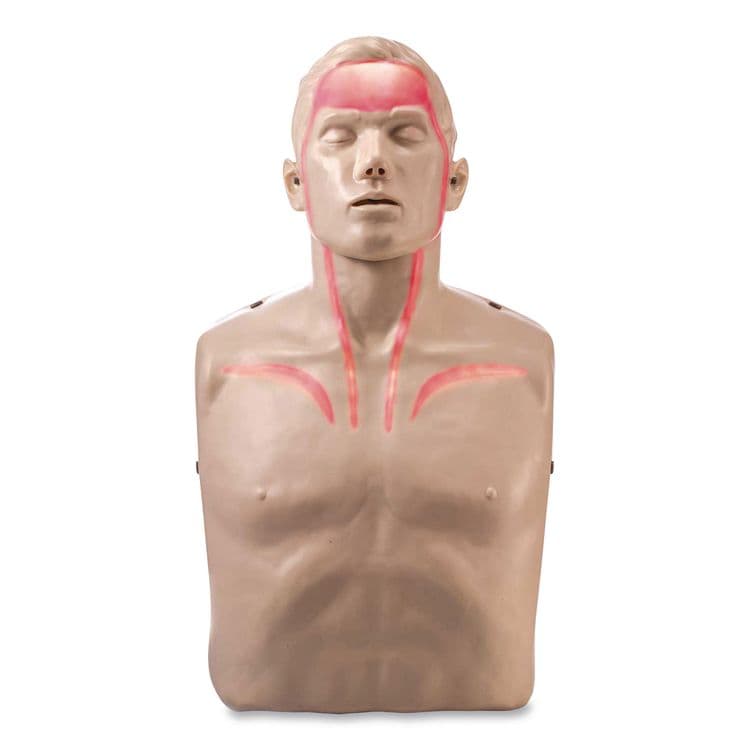 BRAYDEN Brayden LED CPR Manikin with Blood Flow Circulation (Red Lights) (AOHIM13R)