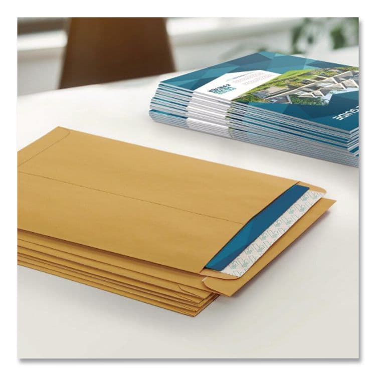 QUALITY PARK PRODUCTS Redi-Strip Catalog Envelope, #10 1/2, Cheese Blade Flap, Redi-Strip Adhesive Closure, 9 x 12, Brown Kraft, 100/Box (QUA44562) thumbnail 2