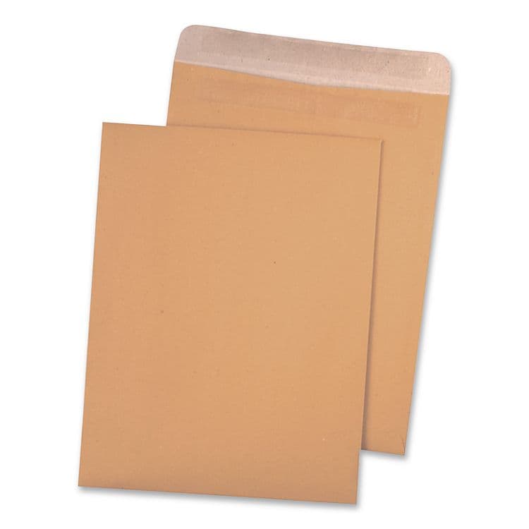 QUALITY PARK PRODUCTS High Bulk Self-Sealing Envelopes, #10 1/2, Cheese Blade Flap, Redi-Seal Adhesive Closure, 9 x 12, Brown Kraft, 100/Box (QUA43563) thumbnail 3