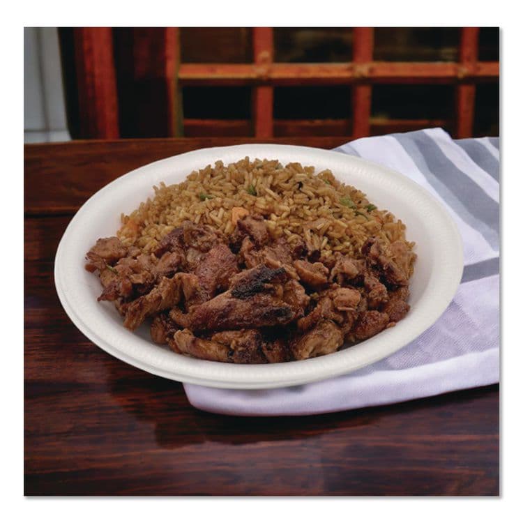 PLASTIFAR SA Foam Dinnerware, Plate, 9" dia, Poly Bag, White, 125/Sleeve, 4 Sleeves/Pack (PST12040) thumbnail 4