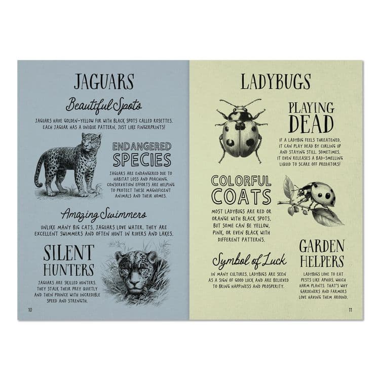 WILLOW CREEK PRESS Animal Facts for Kids Softcover Book, Paperback, 112 Pages (WPR49908) thumbnail 3