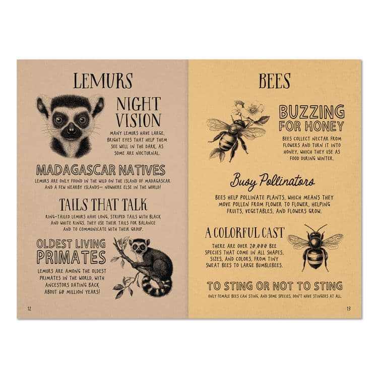 WILLOW CREEK PRESS Animal Facts for Kids Softcover Book, Paperback, 112 Pages (WPR49908) thumbnail 4