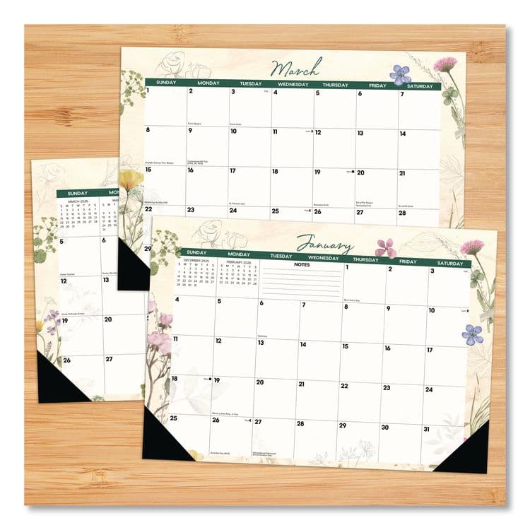 WILLOW CREEK PRESS Botanical Garden Monthly Desk Pad Calendar, 17 x 12, Cream/Multicolor Sheets, Black Headband/Corners, 12-Month (Jan-Dec) 2026 (WPR57094) thumbnail 2