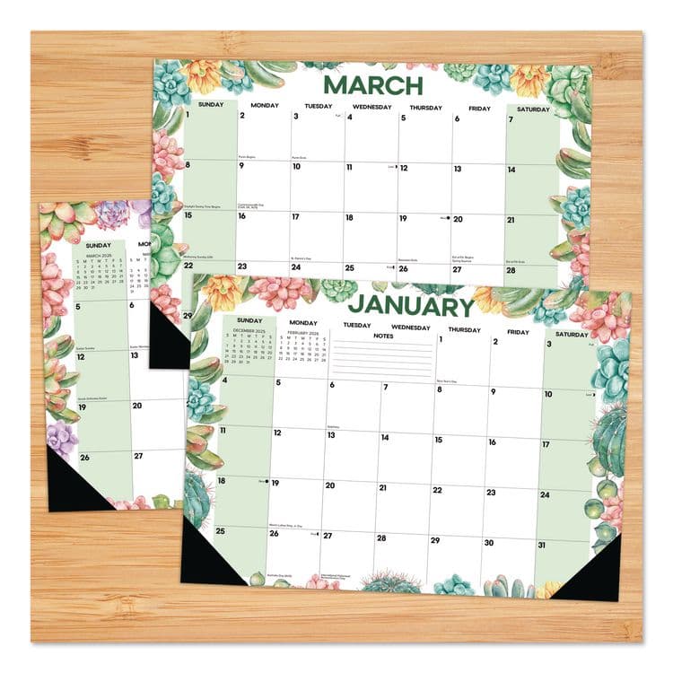 WILLOW CREEK PRESS Succulents Small Monthly Desk Pad Calendar, 17 x 12, White Sheets, Black Headband/Corners, 12-Month (Jan to Dec): 2026 (WPR57162) thumbnail 2