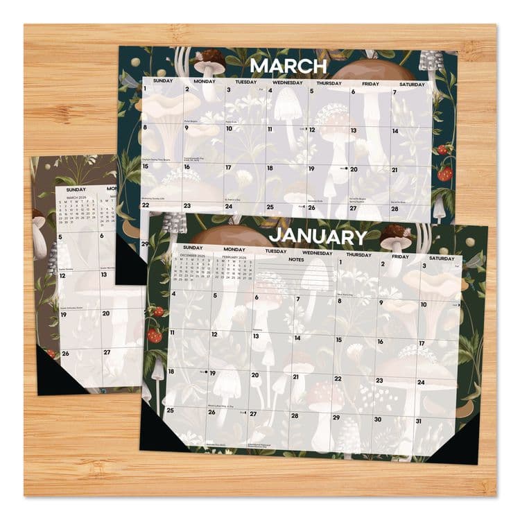 WILLOW CREEK PRESS Woodland Mushroom Small Monthly Desk Pad Calendar, 17 x 12, White Sheets, Black Headband/Corners, 12-Month (Jan to Dec): 2026 (WPR57186) thumbnail 2