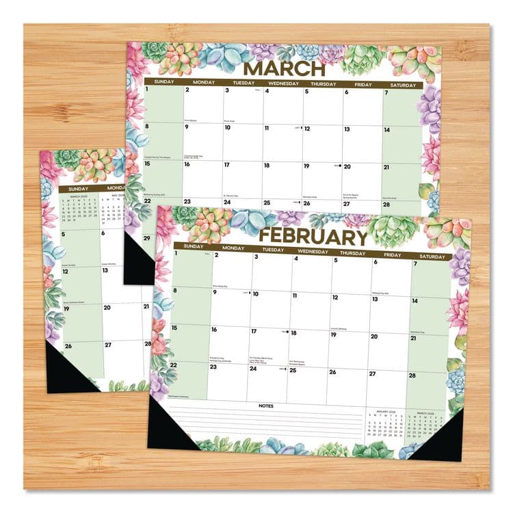 WILLOW CREEK PRESS Succulents Large Monthly Desk Pad Calendar, 22 x 17, White/Multicolor Sheets, Black Headband/Corners, 12-Month (Jan-Dec) 2026 (WPR57285) thumbnail 2