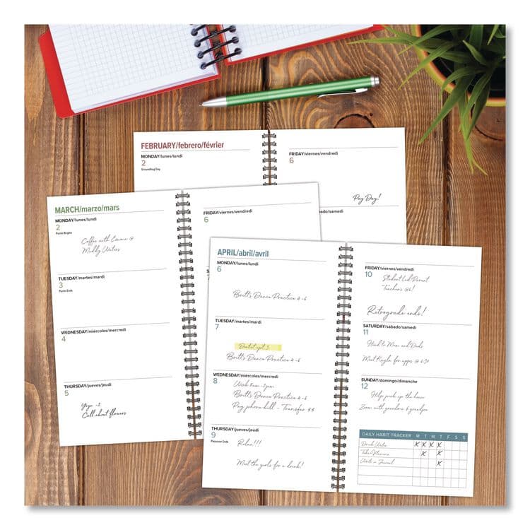 WILLOW CREEK PRESS Woodland Mushroom Softcover Weekly/Monthly Spiral Planner, 6.5 x 3.5, Multicolor Cover, 12-Month (Jan to Dec): 2026 (WPR57360) thumbnail 3