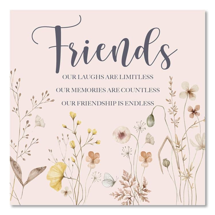 WILLOW CREEK PRESS Friends Hardcover Book, 96 Pages (WPR49786)