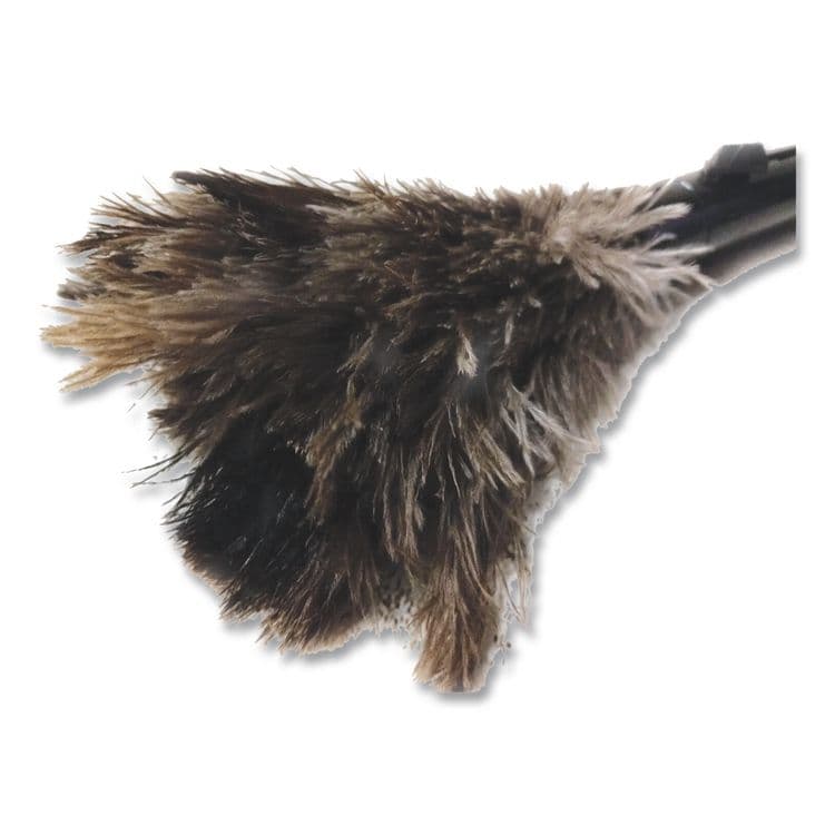 THE ODELL CORPORATION Pop Top Feather Duster, Ostrich, 9" to 14" Handle, Black (ODCRET14UNS91) thumbnail 3