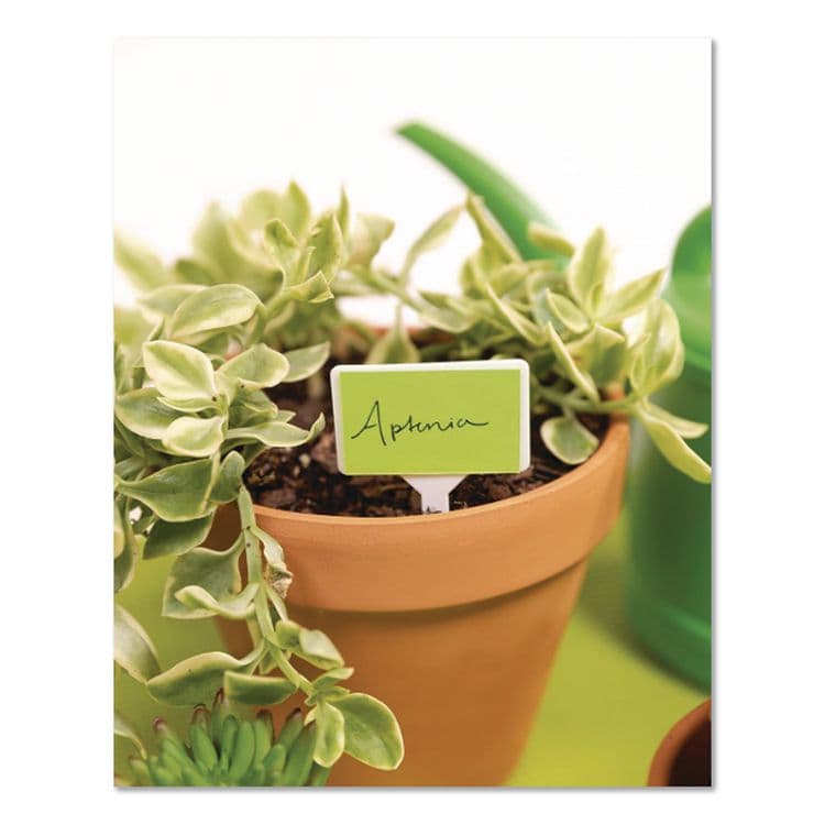 PACON CORPORATION Neon Multi-Purpose Paper, 24 lb Bond Weight, 8.5 x 11, Green, 100/Pack (PAC104317) thumbnail 4