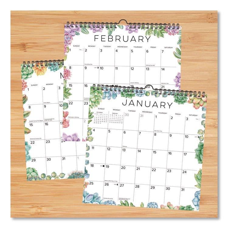 WILLOW CREEK PRESS Succulents 2026 Spiral Wall Calendar, Succulents Artwork, 12 x 12, Multicolor Sheets, 12-Month (Jan to Dec): 2026 (WPR54765) thumbnail 4