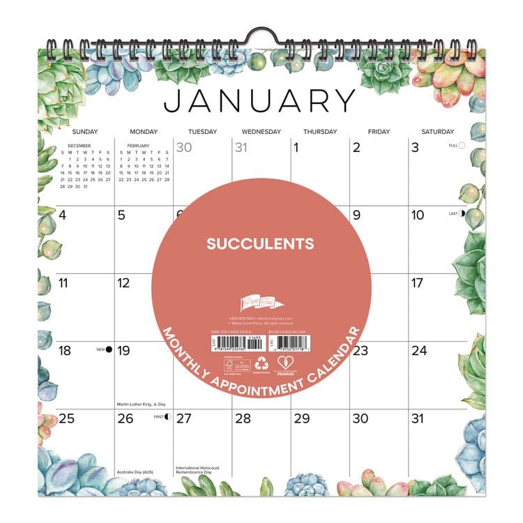 WILLOW CREEK PRESS Succulents 2026 Spiral Wall Calendar, Succulents Artwork, 12 x 12, Multicolor Sheets, 12-Month (Jan to Dec): 2026 (WPR54765)